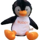 Een buddy voor een vriend